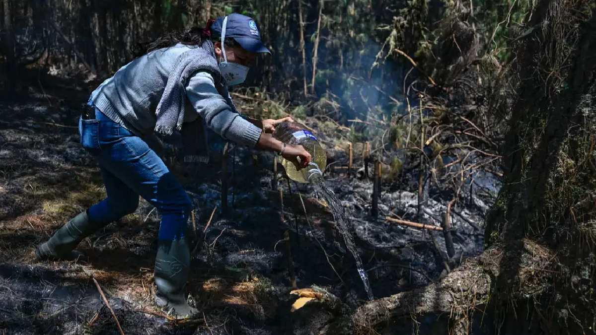 Colombia en Lucha contra el Fuego: El Panorama Actual de los Incendios Forestales